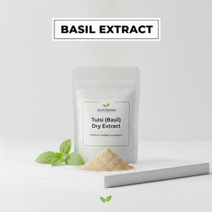 Poudre d'extrait sec de feuille de Tulsi naturelle pour les mélanges à base de plantes, les produits fonctionnels et la fabrication à base de plantes - Product Image 2