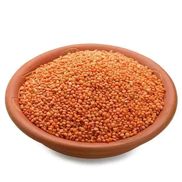Wholesale new crop green red lentil for foreign and domestic market