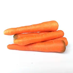 最便宜的价格供应商散装新鲜蔬菜橙色胡萝卜，交货快