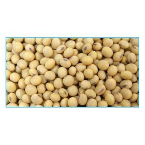 Alimento para animales no GMO a granel, harina de pescado de soja de Brasil, de alta calidad, a la venta - Product Image 5