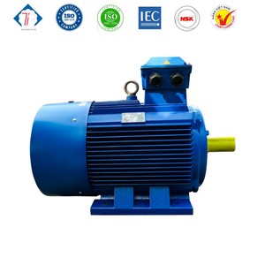 Moteur électrique à courant alternatif à noyau de cuivre triphasé IP55 anti-goutte 380V-50hz-60hz Moteur asynchrone avec boîtier en fonte - Product Image 2