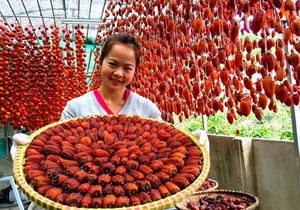 Saveur de kaki séché de qualité: collation tropicale sucrée du Vietnam, abordable et emballée avec des desserts de qualité supérieure avec du kaki séché - Product Image 3