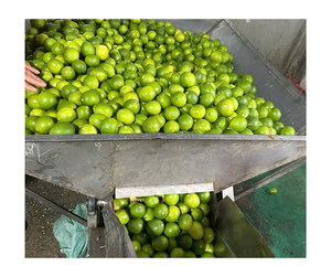 Puré de Calamansi congelado de Vietnam de fábrica OEM exportación al por mayor 100% puré aromático Natural para zumos batidos extensión picante - Product Image 6