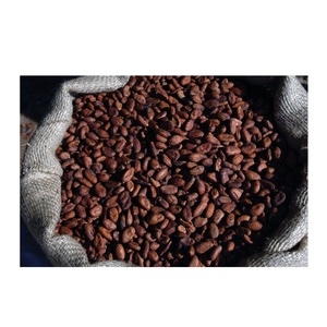 เมล็ดโกโก้เวียดนามคุณภาพสูง 100% จากธรรมชาติ - Product Image 6