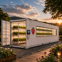 Conteneur de culture de fraises d'intérieur pour la production commerciale de fruits hydroponiques et l'agriculture intelligente