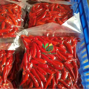 Chile congelado premium-Hecho por VIET THIEN PHU de Vietnam-Embalaje a granel-Proveedor real-Producto de Venta caliente de meses - Product Image 4