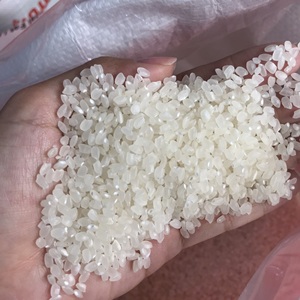 Japonica ข้าวซูชิแบบกลมสีขาวเนื้อแข็งข้าวไรซ์ arroz เพิ่มขึ้น20กก. 22.68กก. 25กก. 50กก. - Product Image 1