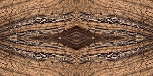Azulejos de porcelana de construcción de calidad superior de diseño sólido marrón, baldosas antideslizantes brillantes, nuevo diseño, liquidación de existencias - Product Image 2