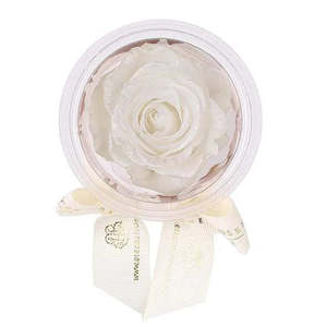 Mini Têtes de Roses Éternelles Naturelles – Lot de 4 Roses Préservées pour Cadeaux de Fête des Mères et de la Saint-Valentin - Product Image 6
