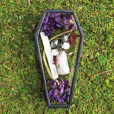 Cosmetic <b>Jewelry</b> <b>Storage</b> Organizer Metal Decor Glass Coffin Shaped Packaging Box Big Luxury Coffin Bracelet Trinket <b>Jewelry</b> - Product Image 5