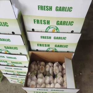 100% Ail frais entier naturel de qualité supérieure à vendre - Product Image 3