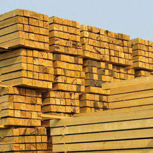 Vente en gros de grumes de peuplier en bois dur provenant de plantations durables, longueurs de 3m, 4m, 6m, certifiées FSC, pour l'exportation mondiale du bois. - Product Image 4
