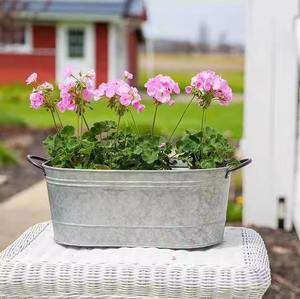 Noël décoré galvanisé fleur seau ferme jardinière métal galvanisé Pot pastorale rustique ovale baignoire pour la maison - Product Image 1
