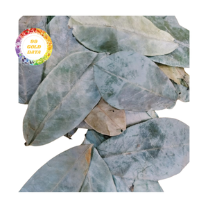 ใบกริโอลาตากแห้งทั้งใบในรูปแบบ-คัดสรรและบรรจุอย่างดีสำหรับผู้ซื้อจากต่างประเทศและคำสั่งซื้อ OEM - Product Image 4