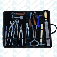 Kit de herramientas de herrador profesional de alta calidad hecho a medida para caballo, el mejor equipo de herrador, Kit de cuidado de pezuña de caballo para herradura
