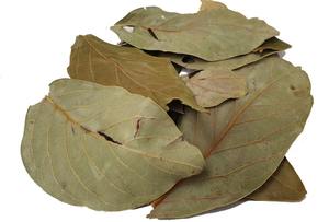 HOJAS DE AGUACATE SECAS/BOTÁNICO TRADICIONAL/SIN ADITIVOS/LIMPIAMENTE PROCESADO - Product Image 4