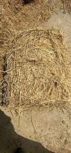 Quick Wood-Fired Solution for Campers and Adventurers Bamboo Charcoal BBQ Fire-Starting - Product Image 3