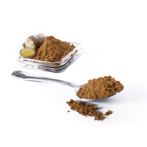 Verduras deshidratadas en polvo secas del jengibre de la fabricación de Vietnam para las especias y el condimento - Product Image 1