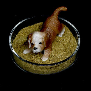 อาหารกระดูกเนื้อ50% สำหรับสัตว์ปีกปลาหมูอาหารสัตว์อาหารเสริมโปรตีนถั่วเหลืองในรูปแบบผง - Product Image 6