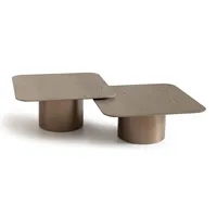 Table basse rectangulaire Michael Amini Canberra en frêne clair avec étagère inférieure