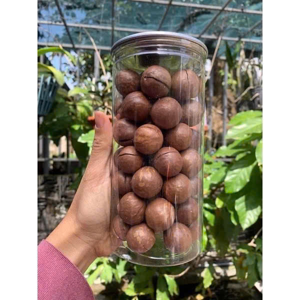 OEM ODM Hot Sell Good Taste Delicious Macadamia Nuts With Shell and Without Shell Roasted Macadamia Nut in Shell From Vietnam
