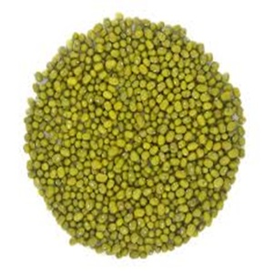 <b>Green</b> Mung Beans Wholesale High Quality for Exports - Product Image 2