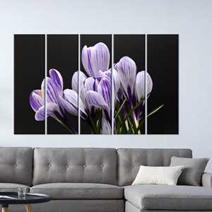 Toile imprimée : Décoration élégante au motif de crocus pour les amateurs de vacances et de fleurs, 5P : Prête à accrocher - Product Image 1