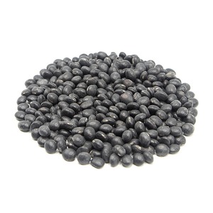 Frijoles Negros Orgánicos Frescos, Frijoles Negros Cuidadosamente Seleccionados, Empacados a Granel para Venta Inmediata y Ofertas de Suministro para Exportación - Product Image 4