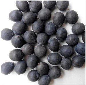 Graines de lotus noir crues entières Graines de fleur de lotus noir naturelles de haute qualité - Product Image 6