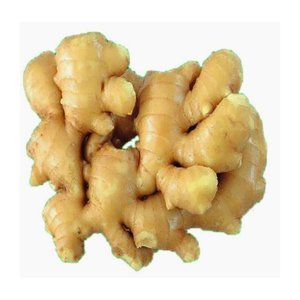 Raíces de alta calidad a granel al por mayor de jengibre fresco natural con fuerte aroma y excelente sabor - Product Image 2