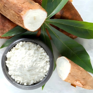 Harina de almidón de tapioca de alta calidad para uso alimentario e industrial al mejor precio con descuento - Product Image 5