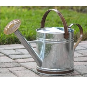 Different Colour Metal Water <b>Cane</b> <b>Garden</b> Handcrafted Luxury Watering <b>Cane</b> With Durable Quality Metal Water <b>Cane</b> - Product Image 6