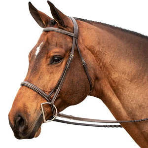 Bride de chasseur cousue fantaisie rembourrée réglable avec culotte de rênes Bride anglaise de qualité supérieure avec rembourrage confortable, élégante - Product Image 5