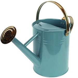 Design fait à la main Top Tendance Articles de jardin galvanisés Bidon d'eau en fer en métal personnalisé Stockage d'eau Bidon d'eau suspendu - Product Image 2