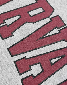 Sweat-shirt d'hiver de l'Université de Harvard, officiellement sous licence, en polaire polyester/coton écologique, col montant à blocs arqués, coupe ample - Product Image 2