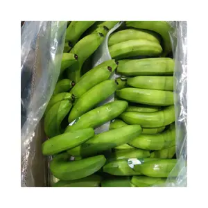 热卖新鲜卡文迪许香蕉质优价廉越南供应商绿色甜美新鲜卡文迪许香蕉13.5公斤