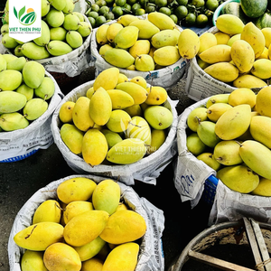 Mango fresco y seco de alta calidad de Vietnam al mejor precio de exportación al por mayor para productos agrícolas - Product Image 6