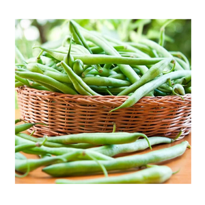 ถั่วเขียวสดกรุบกรอบ-รสชาติดีคุณภาพสูงเหมาะสำหรับสลัดและผัด - Product Image 4