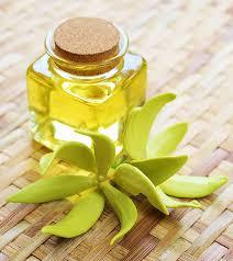 น้ำมันไฮโดรซอลกระดังงาได้รับการรับรองจากธรรมชาติ100% สำหรับน้ำมันหอมระเหย - Product Image 4