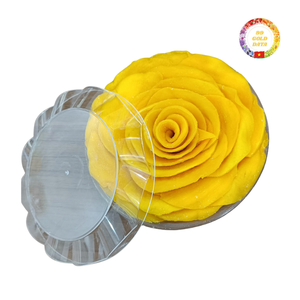 Mangues séchées douces de qualité supérieure, en gros, du Vietnam, sans sucre, naturellement sucrées, fournisseur - Product Image 1