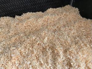 Sciure de pin très propre et abordable pour litière de chevaux / Sciure de pin pour chevaux / Sciure de bois de pin pour élevages avicoles - Product Image 2