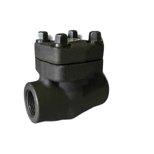 Corps de clapet anti-retour horizontal en acier forgé C-Way ASTM A-105, testé sous pression de 207 bars, filetage femelle NPT vissé 1 pouce - Product Image 5