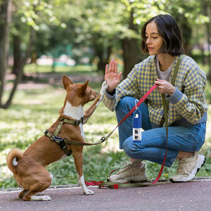 Dispensador de bolsas de basura Novedades Productos para mascotas 2017 - Product Image 3
