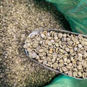 Café Vert Biologique Robusta de Haute Qualité, Grade 1, Sac de 1kg, Approvisionnement en Gros de l'Usine Italienne, Tamis 16 18, Prix Abordable - Product Image 5