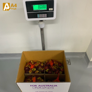 Mangoustan frais biologique de qualité supérieure - Qualité supérieure de catégorie A, provenant de sources durables avec un emballage avancé, 8 kg en provenance de Thaïlande - Product Image 4