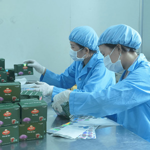 เครื่องดื่มเพื่อสุขภาพ Ampelopsis ชาสมุนไพรธรรมชาติออร์แกนิกจาก100% แพ็ก1กรัม20ถุงจากเวียดนาม - Product Image 6