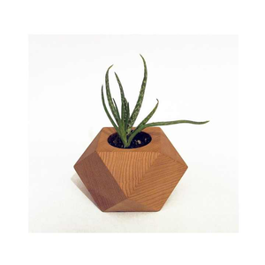 Vase à fleurs en bois moderne, best-seller, écologique, fait à la main, plusieurs couleurs, pour la décoration de la maison et du jardin, balcon - Product Image 4