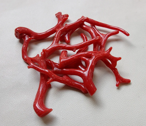 ¡Coral! Piedra preciosa de Coral italiano Natural 100%, ramas de palitos de Coral rojo, ramas de Coral bien pulidas de calidad AAA, palitos de Coral - Product Image 3