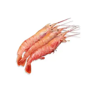 Vente en gros de crevettes blanches/crevettes d'eau douce/aliments pour crevettes vannamei surgelés