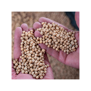 Distributors supply soybeans for sale with flexible payment terms for bulk orders - Product Image 1